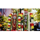 MA ANDAL LORD RENGAMANNAR THIRUKALYANAM MA ANDAL LORD RENGAMANNAR THIRUKALYANAM